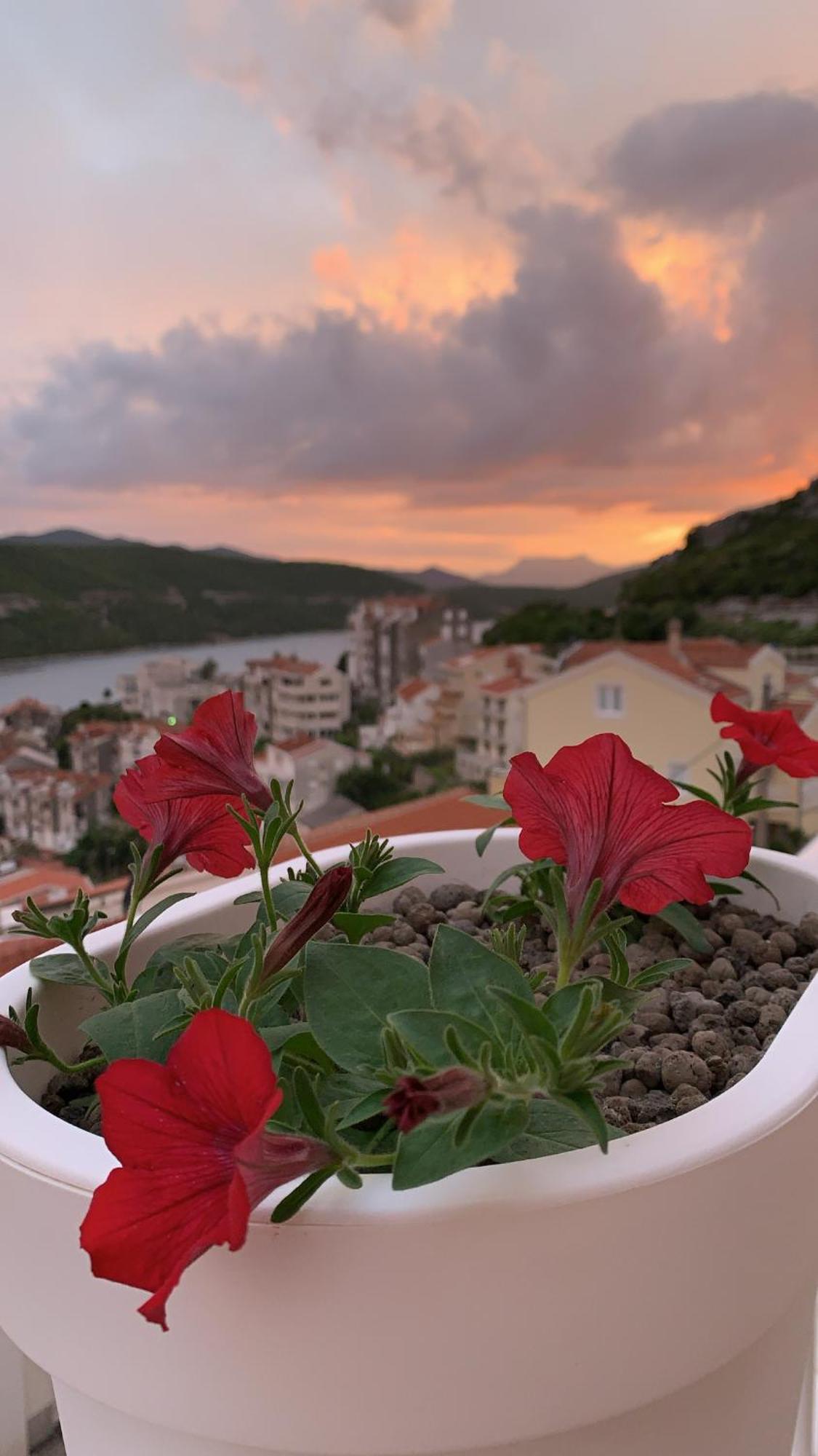 Hotel Ami - M Neum Exterior photo